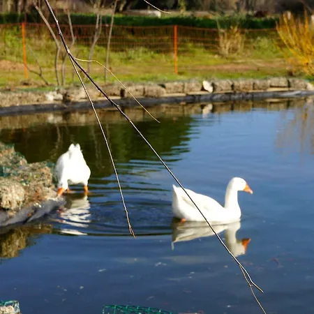 Campagne Les Jumeaux 4* Ramatuelle